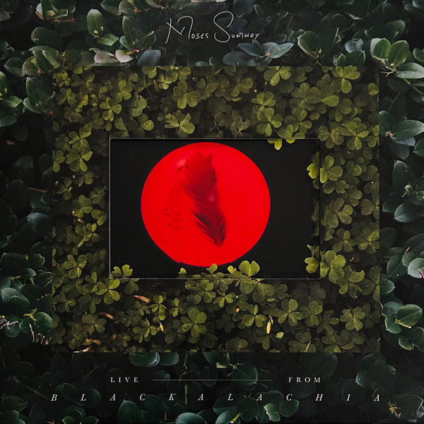 Moses Sumney - Live From Blackalachia | Mint (M) Mint (M)-