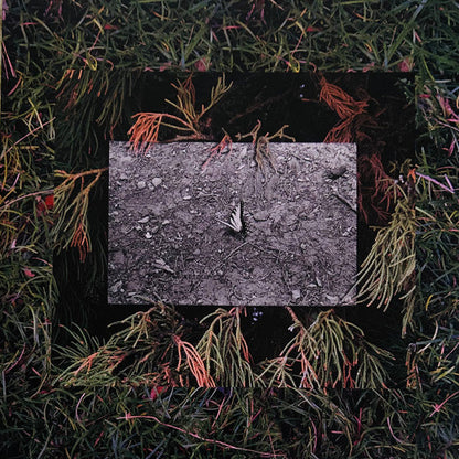 Moses Sumney - Live From Blackalachia | Mint (M) Mint (M)-