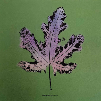 Moses Sumney - Live From Blackalachia | Mint (M) Mint (M)-