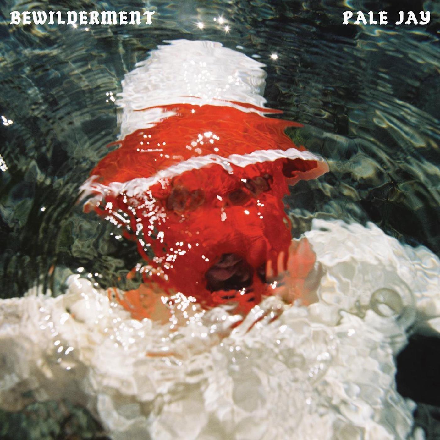 Pale Jay - Bewilderment (SEAFOAM GREEN VINYL) | Mint (M) Mint (M)-