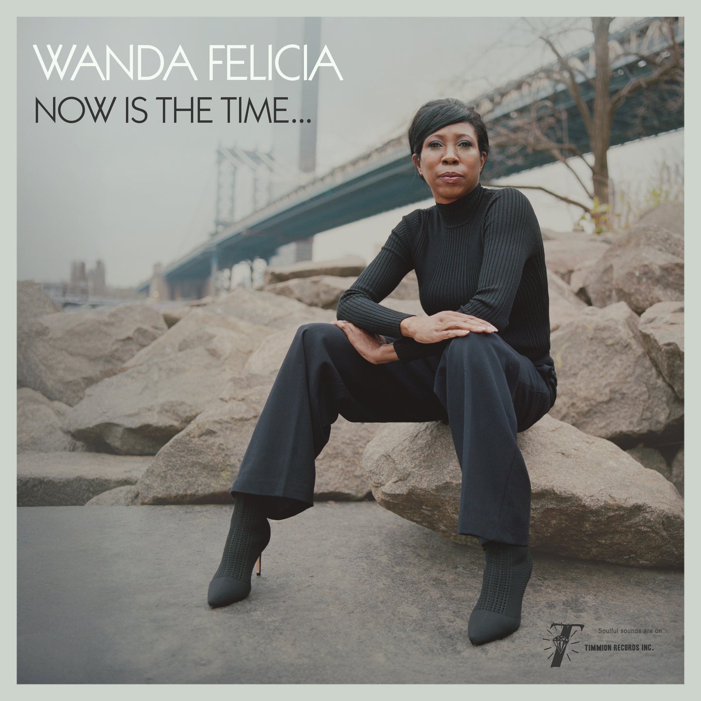 Wanda Felicia & Cold Diamond & Mink - Now Is The Time (VINYL) | Mint (M) Mint (M)-