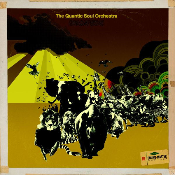 Quantic Soul Orchestra, The - Stampede (CD) | Mint (M) Mint (M)-