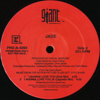 Jade (3) - I Wanna Love You (VINYL) | Near Mint (NM) Excellent+ (EX+)-