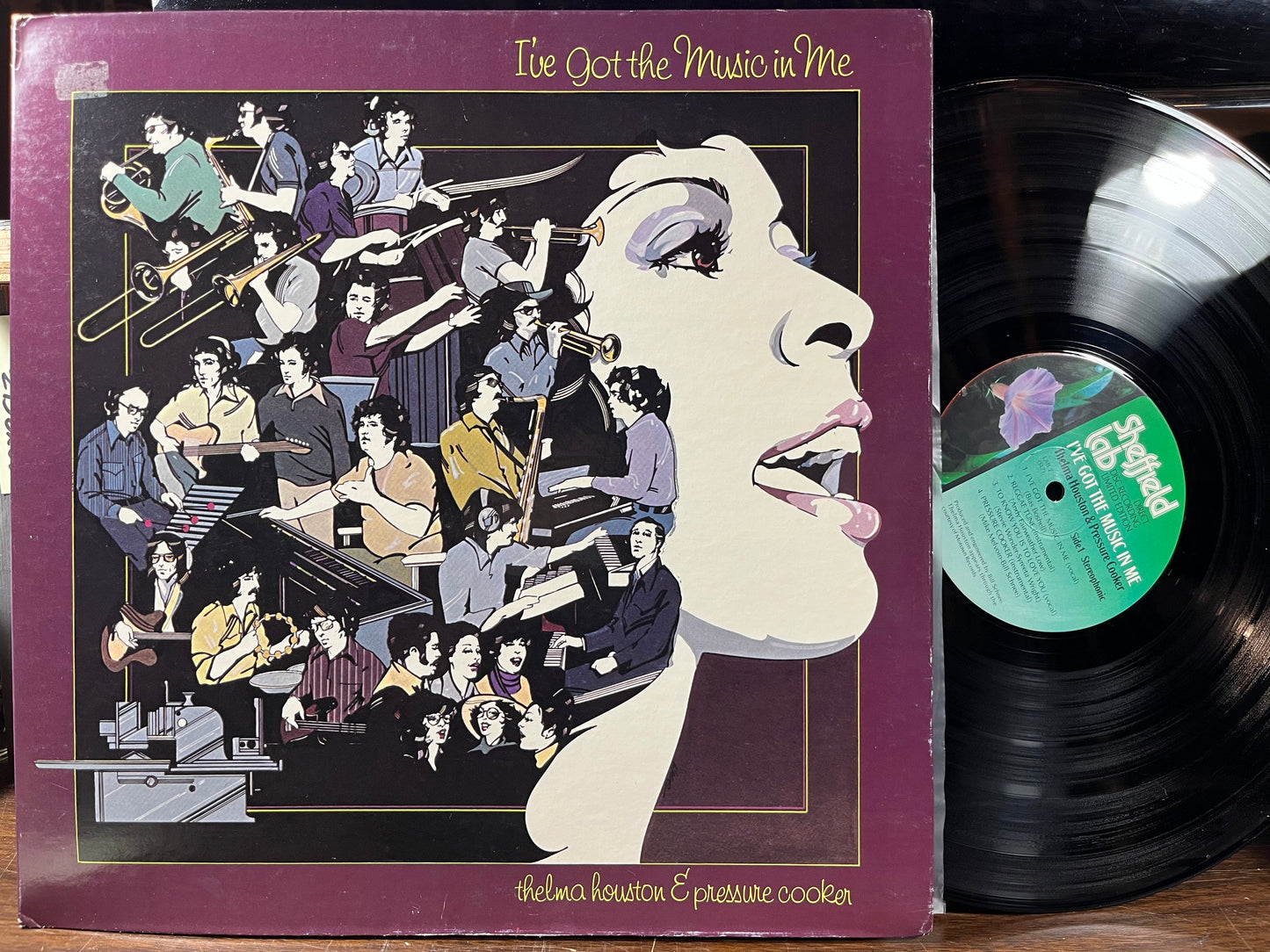 Thelma Houston - I've Got The Music In Me (VINYL) | Near Mint (NM) Excellent (EX)-