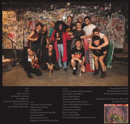 Gary Wilson & Tredici Bacci - Another Lonely Night In Brooklyn | Mint (M) Mint (M)-