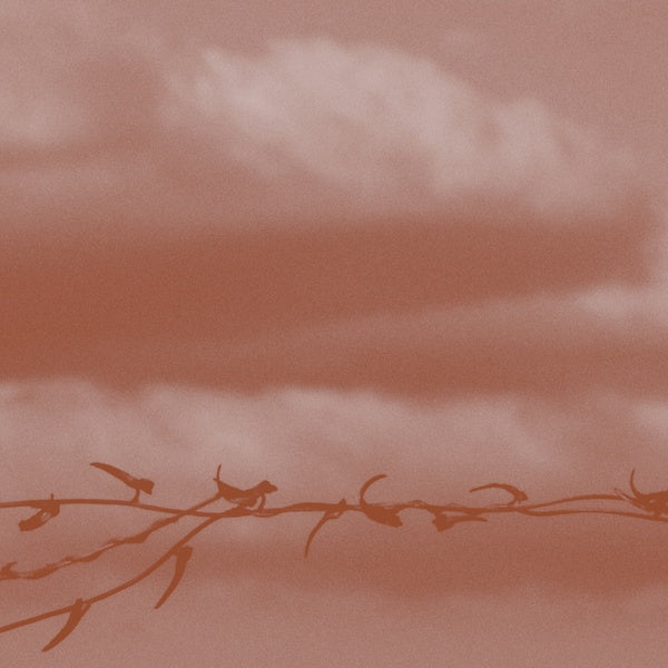 GENEVA SKEEN - Double Bind |-