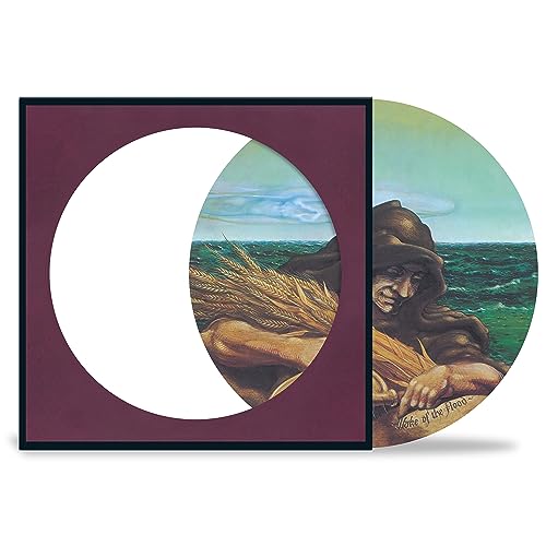 Grateful Dead - Wake of the Flood (Picture Disc) | Mint (M) Mint (M)-