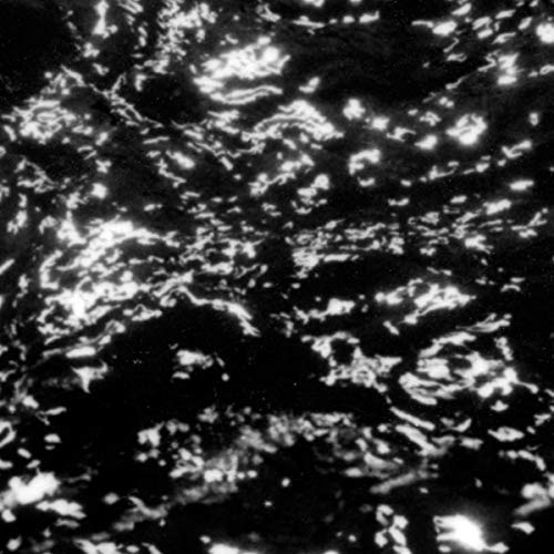 GROUPER - AIA: Dream Loss (VINYL LP Kranky KRANK223) | NEW-