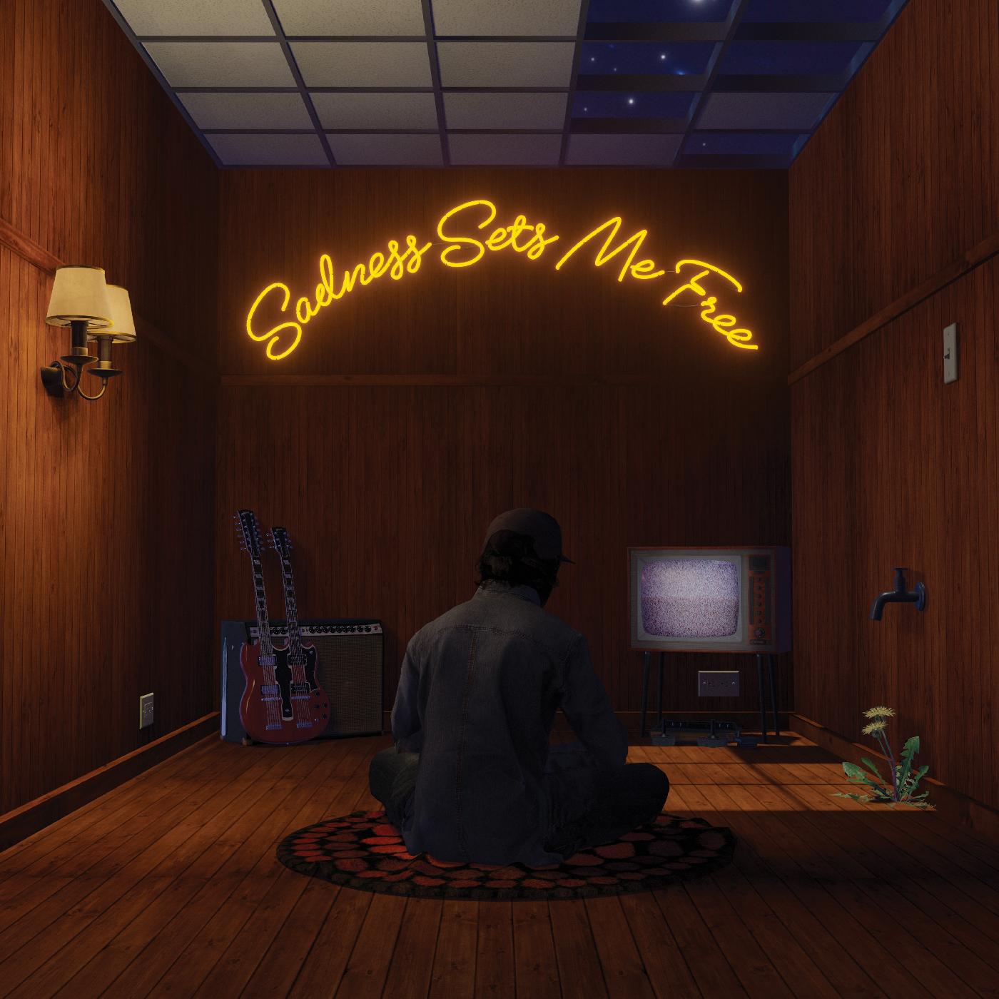 Gruff Rhys - Sadness Sets Me Free (CD) | Mint (M) Mint (M)-