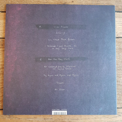 Haiku Salut - The Hill, The Light, The Ghost | Mint (M) Mint (M)-