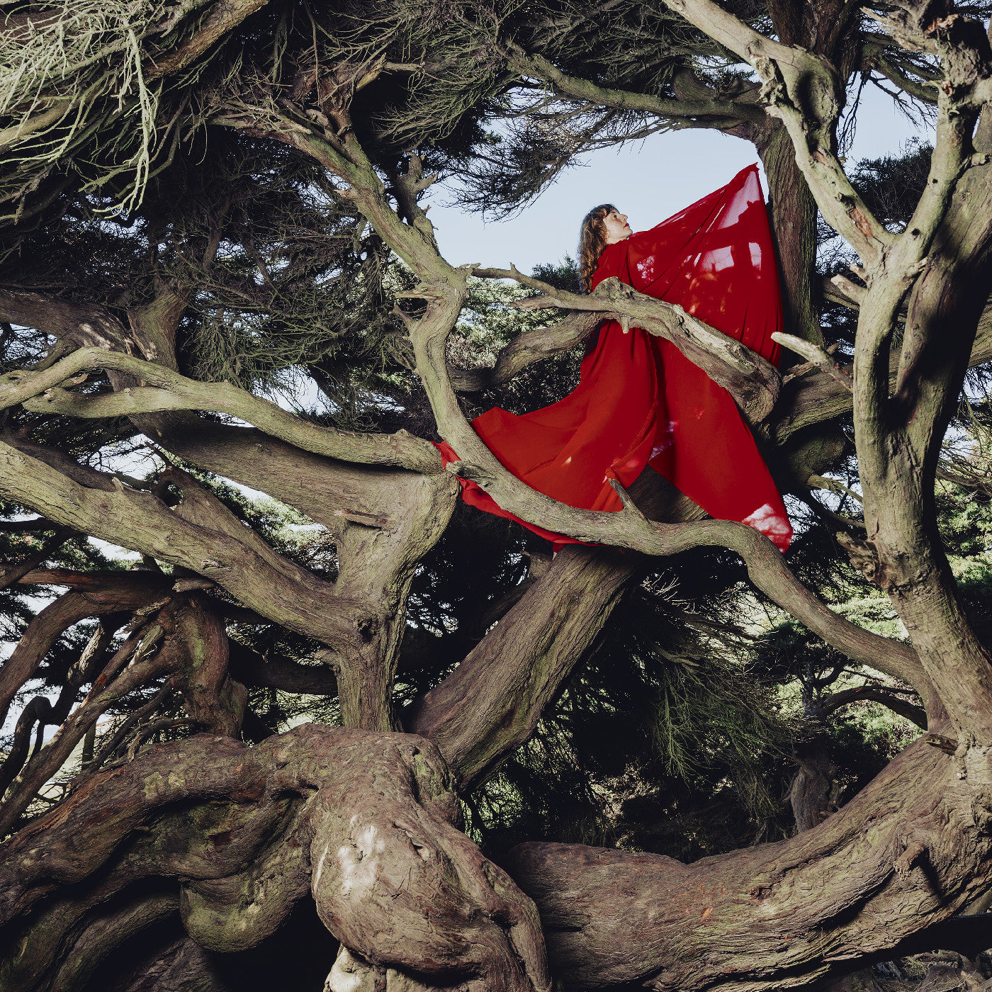 Hannah Frances - Nested In Tangles (Ruby Red VINYL) | Mint (M) Mint (M)-