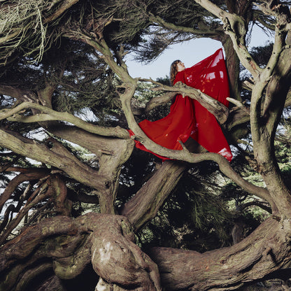 Hannah Frances - Nested In Tangles (Ruby Red VINYL) | Mint (M) Mint (M)-