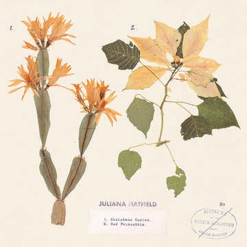 Hatfield, Juliana - Christmas Cactus/Red Poinsettia (7" RSD 11.27.2020) | Mint (M) Mint (M)-