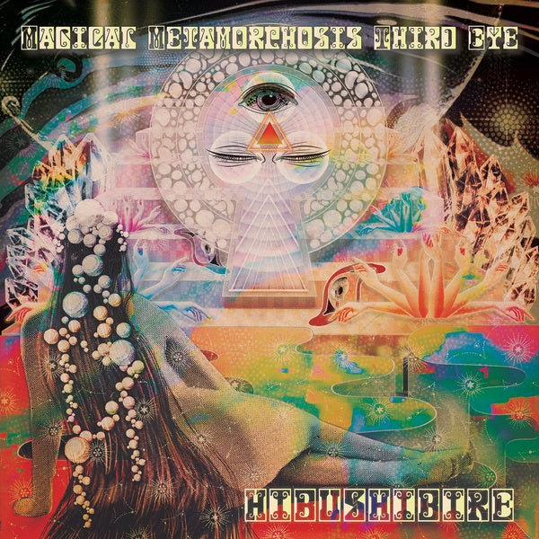 HIBUSHIBIRE - Magical Metamorphosis Third Eye (VINYL) | Mint (M) Mint (M)-