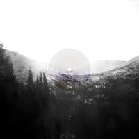 High Places - Can't Feel Born | Mint (M) Mint (M)-