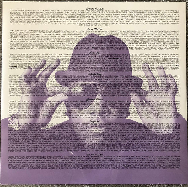 Big Boi - Sir Lucious Left Foot... The Son Of Chico Dusty (2xVINYL) | Mint (M) Mint (M)-