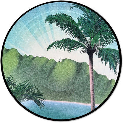 Flamingosis - Daymaker (PICTURE VINYL) | Mint (M) Mint (M)-