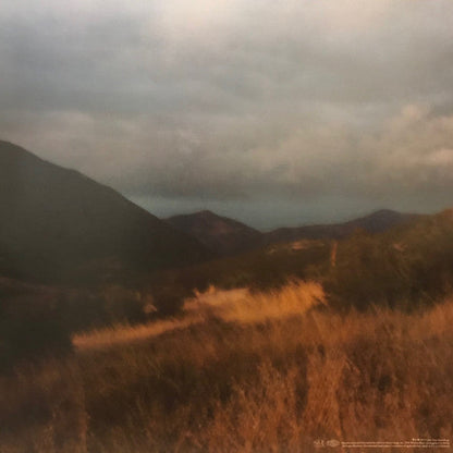 Injury Reserve (VINYL) | Mint (M) Mint (M)-