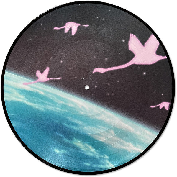 Flamingosis - Daymaker (PICTURE VINYL) | Mint (M) Mint (M)-