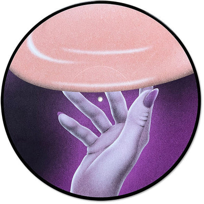 Flamingosis - Daymaker (PICTURE VINYL) | Mint (M) Mint (M)-