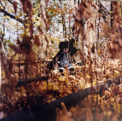 Billy Woods - Golliwog (2xVINYL) |-