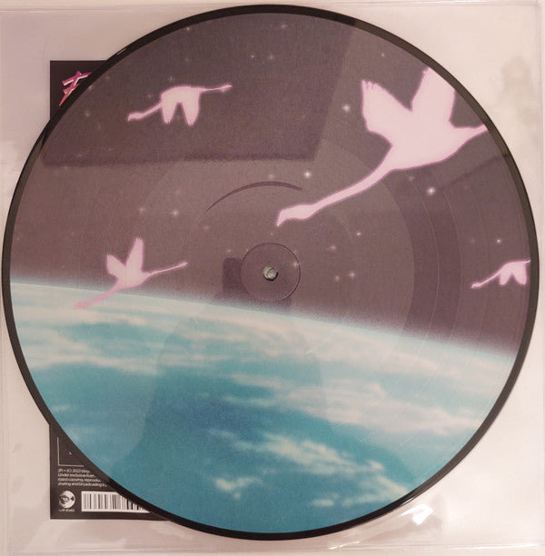 Flamingosis - Daymaker (PICTURE VINYL) | Mint (M) Mint (M)-