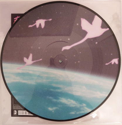 Flamingosis - Daymaker (PICTURE VINYL) | Mint (M) Mint (M)-