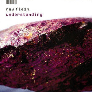 New Flesh - Understanding (CD) |-