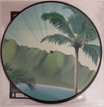 Flamingosis - Daymaker (PICTURE VINYL) | Mint (M) Mint (M)-