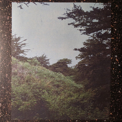 Jinsang - Life. (VINYL) | Mint (M) Mint (M)-