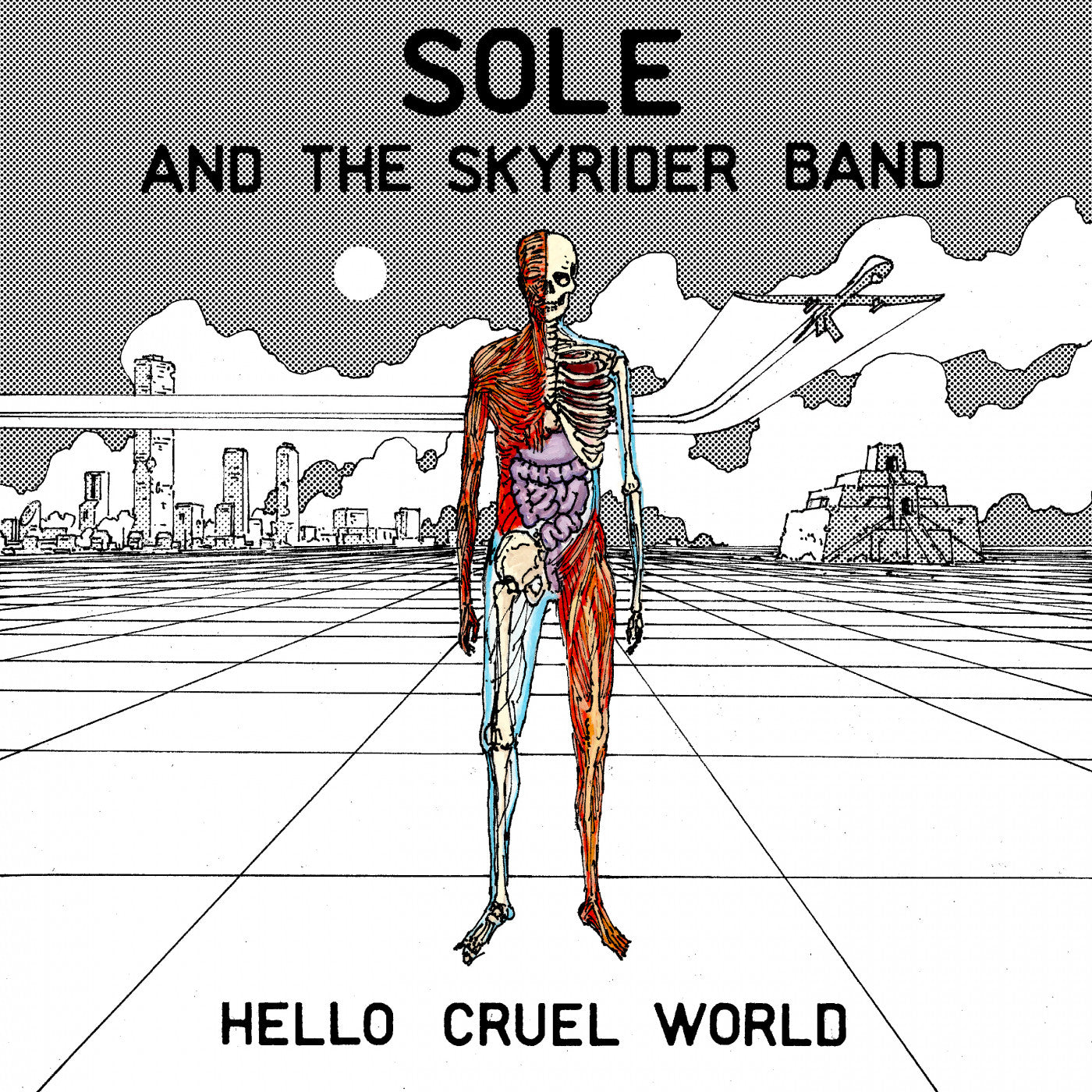 Sole And The Skyrider Band - Hello Cruel World (CD) |-