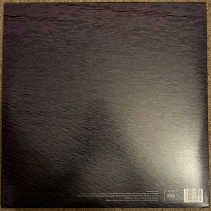 Baby Keem - The Melodic Blue (150 GRAM VINYL) | Mint (M) Mint (M)-