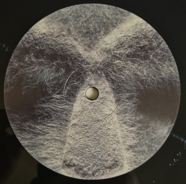 MF DOOM - Born Like This (2xVINYL) | Mint (M) Mint (M)-