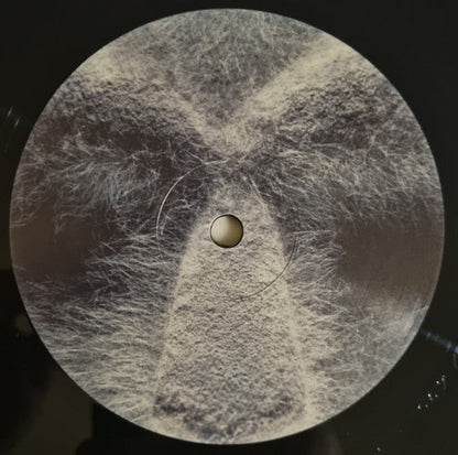 MF DOOM - Born Like This (2xVINYL) | Mint (M) Mint (M)-