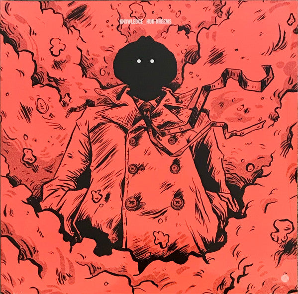 knxwledge - Hud Dreems (2LP) | Mint (M) Mint (M)-