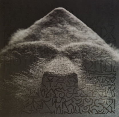 MF DOOM - Born Like This (2xVINYL) | Mint (M) Mint (M)-