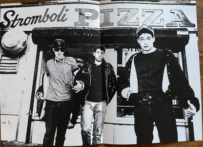 Paul's Boutique Demos (VINYL - UNOFFICIAL) | Mint (M) Mint (M)-