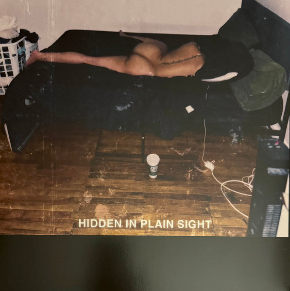 Hidden In Plain Sight (VINYL) | Mint (M) Mint (M)-