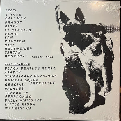 EsDeeKid - Rebel (UNOFFICIAL VINYL) | Mint (M) Mint (M)-