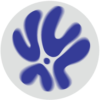 Matteo Point - (PRESALE TBD) Acid People (VINYL 12" SONUM SNM002) | NEW-