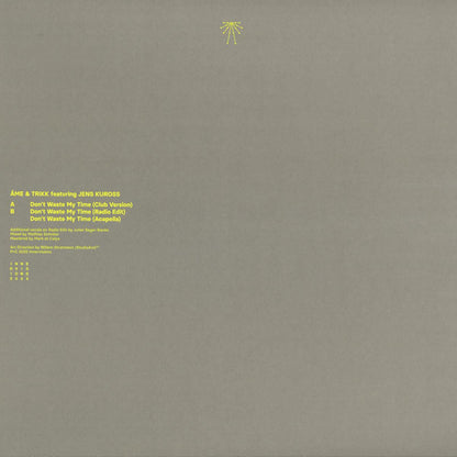 Don't Waste My Time (VINYL 12") | Mint (M) Mint (M)-
