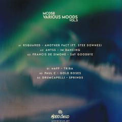 Various - Various Moods Vol. 5 (VINYL) | Mint (M) Mint (M)-