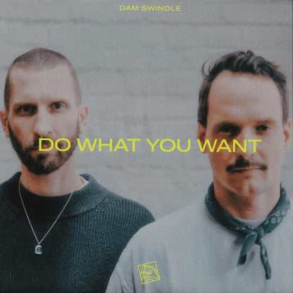 Dam Swindle - Do What You Want (VINYL 12" PIV PIV081 2026) | NEW-