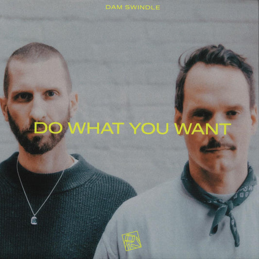 Dam Swindle - Do What You Want (VINYL 12" PIV PIV081 2026) | NEW-
