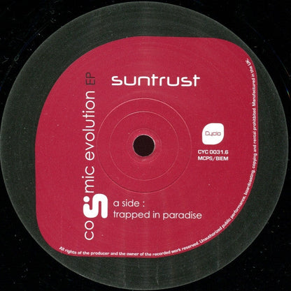 Cosmic Evolution EP *NEW* (VINYL) | Mint (M) Near Mint (NM)-