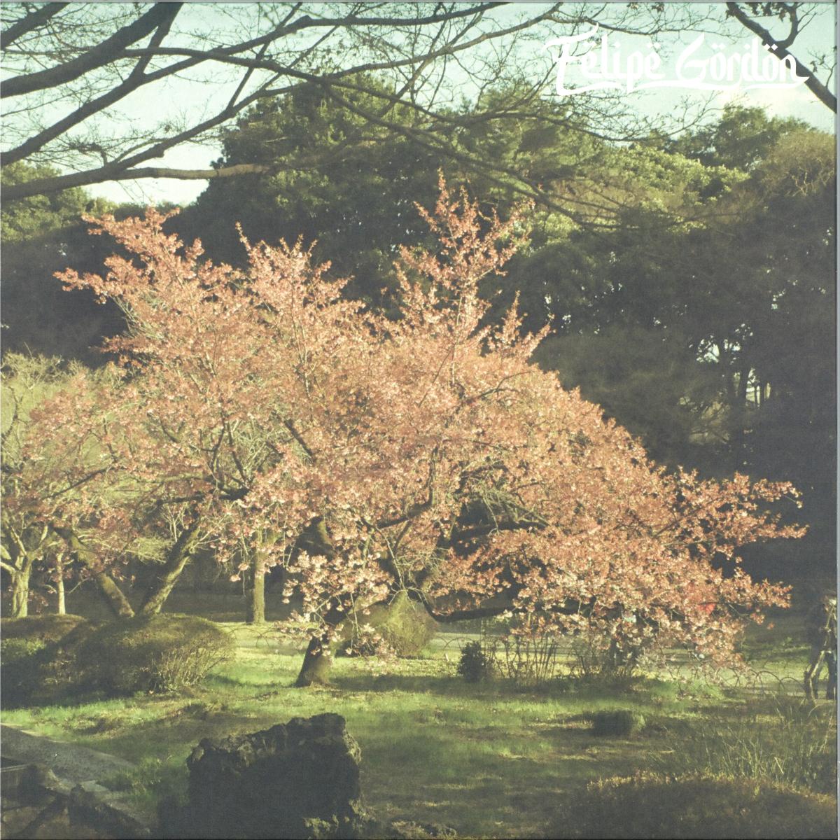 Felipe Gordon - Tezeta (VINYL 2xLP Shall Not Fade SNFLP020V 2026) | Mint (M) Mint (M)-