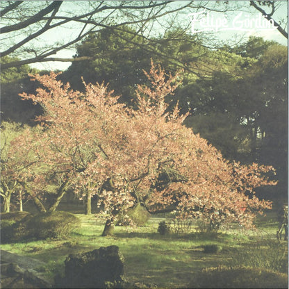 Felipe Gordon - Tezeta (VINYL 2xLP Shall Not Fade SNFLP020V 2026) | Mint (M) Mint (M)-