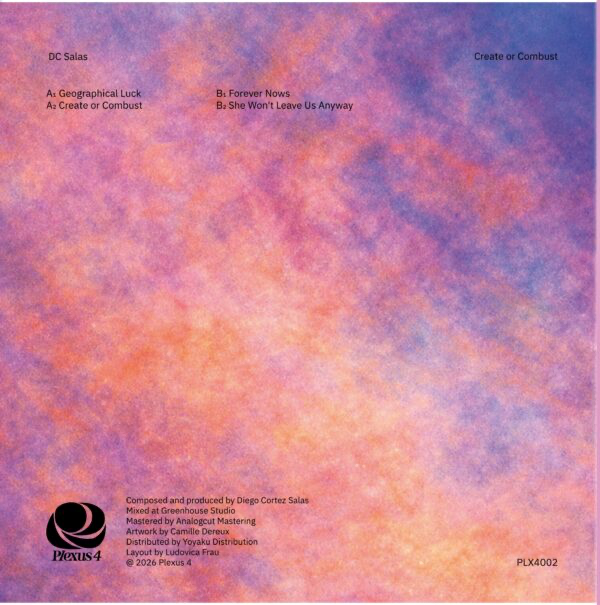 DC Salas - Create or Combust (VINYL) | Mint (M) Mint (M)-