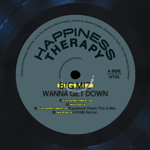 Big Miz - (PRESALE) Wanna Get Down (VINYL) | Mint (M) Mint (M)-