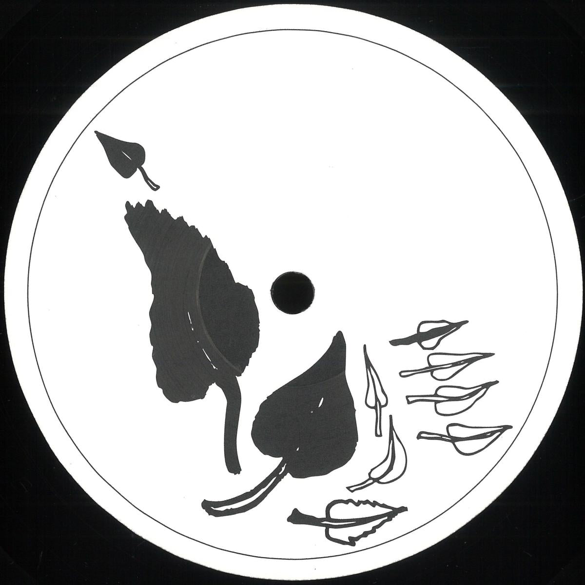 Stefan Vincent - Phyllotaxis (VINYL 12" Artisjok Records AR007) | NEW Mint (M) Mint (M)-